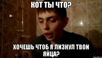 кот ты что? хочешь чтоб я лизнул твои яйца?