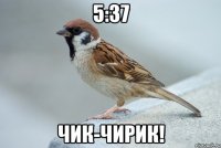 5:37 чик-чирик!