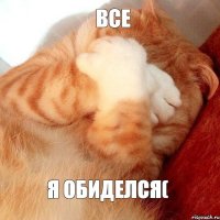 Все Я обиделся(