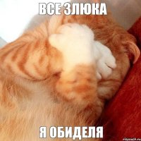Все злюка Я обиделя