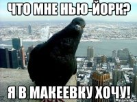 Что мне Нью-Йорк? я в Макеевку хочу!