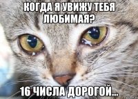 Когда я увижу тебя любимая? 16 числа дорогой...
