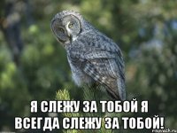  Я слежу за тобой Я всегда слежу за тобой!