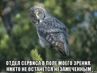  отдел сервиса в поле моего зрения. никто не останется незамеченным