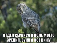  отдел сервиса в поле моего зрения. суки я все вижу