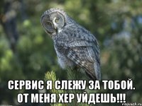  Сервис я слежу за тобой. от меня хер уйдешь!!!