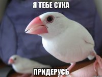 Я ТЕБЕ СУКА ПРИДЕРУСЬ