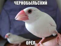 чернобыльский орёл