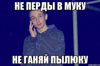 не перды в муку не ганяй пылюку