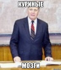 куриные мозги