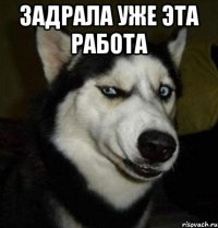 задрала уже эта работа 