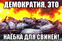 ДЕМОКРАТИЯ, ЭТО НАЁБКА ДЛЯ СВИНЕЙ!