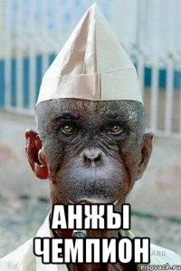  анжы чемпион