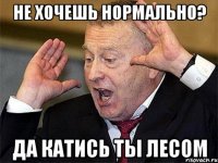 Не хочешь нормально? Да катись ты лесом