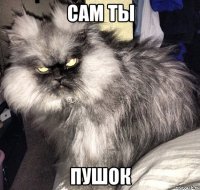 САМ ТЫ ПУШОК