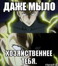 Даже мыло хозяйственнее тебя.