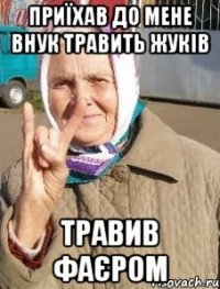 Приїхав до мене внук травить жуків травив фаєром