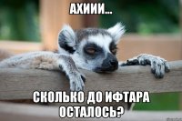 Ахиии... сколько до ифтара осталось?