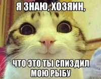 Я знаю, хозяин, Что это ты спиздил мою рыбу