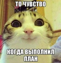 то чувство когда выполнил план