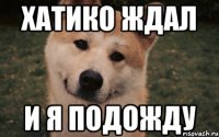 Хатико ждал и я подожду