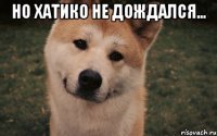 но хатико не дождался... 