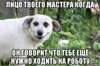 лицо твоего мастера когда он говорит что тебе ещё нужно ходить на роботу