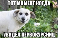 тот момент когда увидел первокурсниц