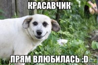 КРАСАВЧИК прям влюбилась :D