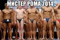 Мистер рома 2014 