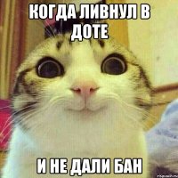 когда ливнул в доте и не дали бан