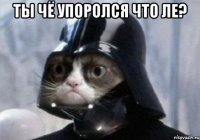 Ты чё упоролся что ле? 
