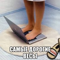  самые дорогие весы