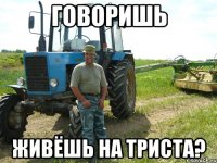 Говоришь Живёшь на триста?