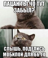 Пацан ты чо тут забыл? Слышь, поделись мобилой для 66-го