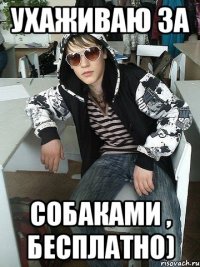 ухаживаю за собаками , бесплатно)