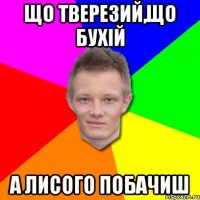 Що тверезий,що бухій а лисого побачиш