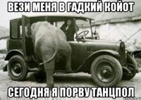 вези меня в гадкий койот сегодня я порву танцпол