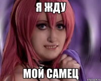 я жду мой самец