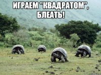 играем "квадратом", блеать! 