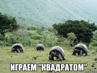  играем "квадратом"