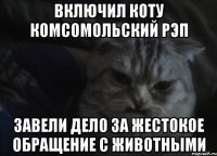 Включил коту комсомольский рэп Завели дело за жестокое обращение с животными