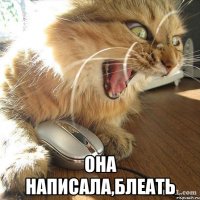  ОНА НАПИСАЛА,блеать
