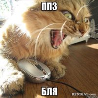ППЗ бля
