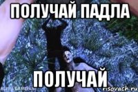 Получай падла Получай