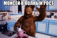 моисей в полный рост 