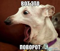 вот это поворот