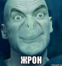  жрон