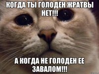 Когда ты голоден жратвы нет!!! А когда не голоден ее завалом!!!