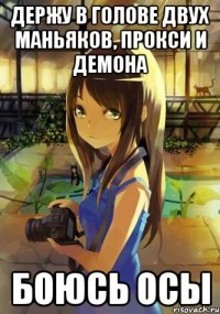 Держу в голове двух маньяков, прокси и демона боюсь осы